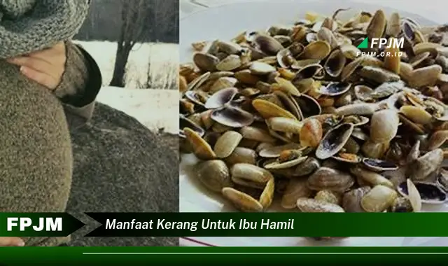 manfaat kerang untuk ibu hamil