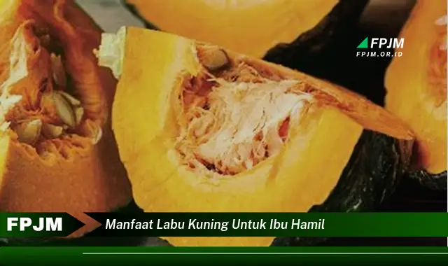 manfaat labu kuning untuk ibu hamil manfaat labu kuning untuk ibu hamil