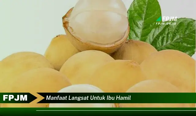 manfaat langsat untuk ibu hamil manfaat langsat untuk ibu hamil