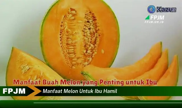 manfaat melon untuk ibu hamil