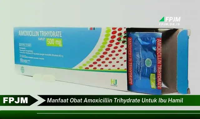 manfaat obat amoxicillin trihydrate untuk ibu hamil manfaat obat amoxicillin trihydrate untuk ibu hamil