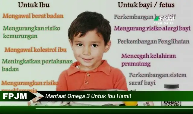 manfaat omega 3 untuk ibu hamil