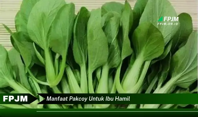 manfaat pakcoy untuk ibu hamil