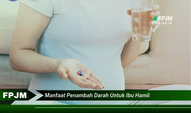 manfaat penambah darah untuk ibu hamil