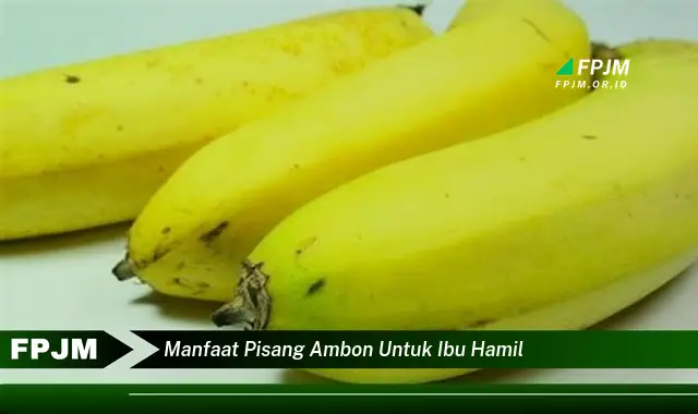 manfaat pisang ambon untuk ibu hamil manfaat pisang ambon untuk ibu hamil