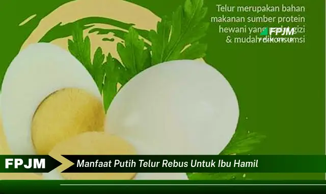 manfaat putih telur rebus untuk ibu hamil