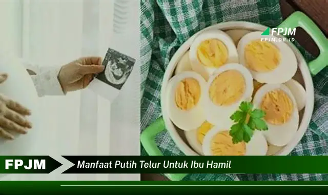 manfaat putih telur untuk ibu hamil