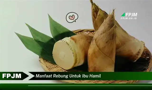 manfaat rebung untuk ibu hamil