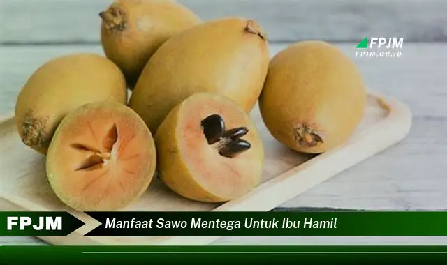 manfaat sawo mentega untuk ibu hamil manfaat sawo mentega untuk ibu hamil