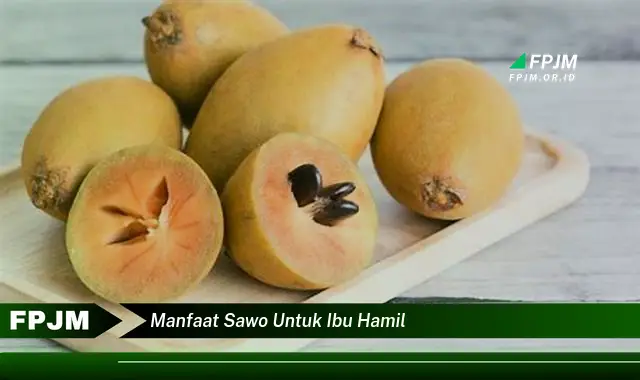 manfaat sawo untuk ibu hamil manfaat sawo untuk ibu hamil