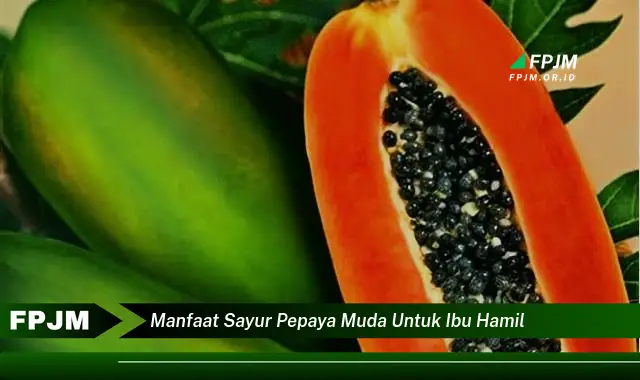 manfaat sayur pepaya muda untuk ibu hamil