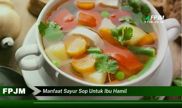 manfaat sayur sop untuk ibu hamil