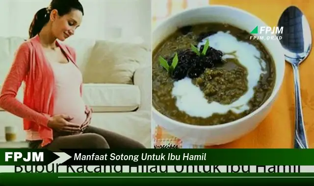 manfaat sotong untuk ibu hamil manfaat sotong untuk ibu hamil