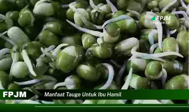 manfaat tauge untuk ibu hamil