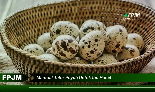manfaat telur puyuh untuk ibu hamil manfaat telur puyuh untuk ibu hamil