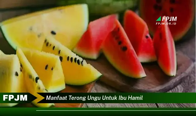 manfaat terong ungu untuk ibu hamil