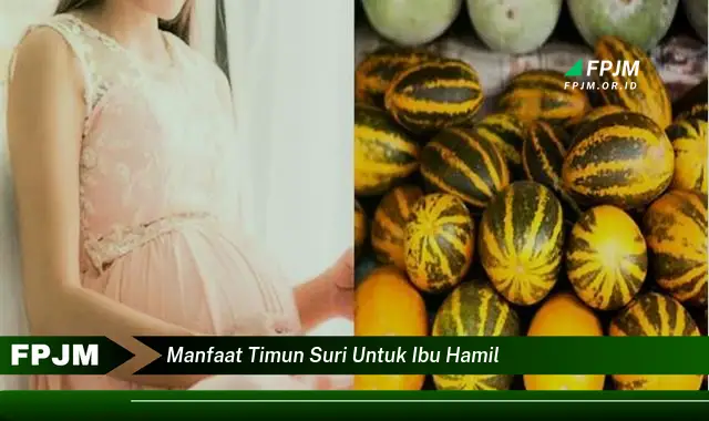 manfaat timun suri untuk ibu hamil