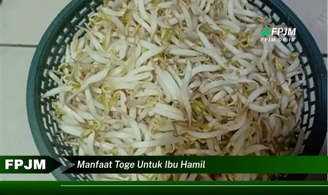 manfaat toge untuk ibu hamil manfaat toge untuk ibu hamil