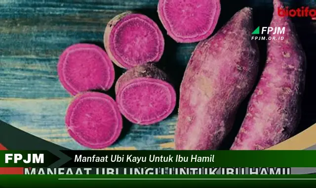 manfaat ubi kayu untuk ibu hamil manfaat ubi kayu untuk ibu hamil
