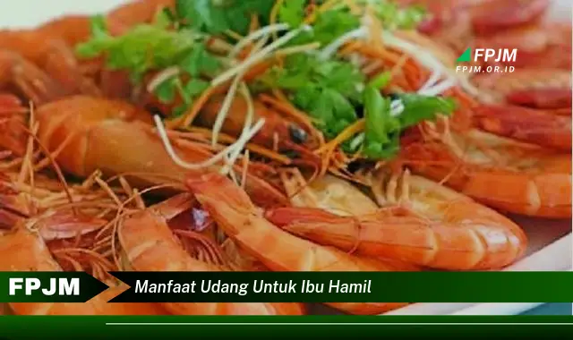 manfaat udang untuk ibu hamil