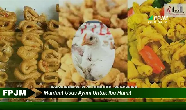 manfaat usus ayam untuk ibu hamil