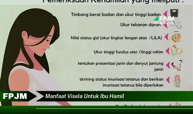 manfaat visela untuk ibu hamil manfaat visela untuk ibu hamil