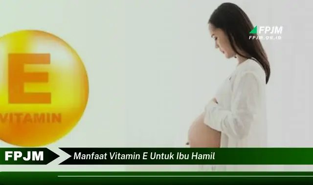 manfaat vitamin e untuk ibu hamil manfaat vitamin e untuk ibu hamil