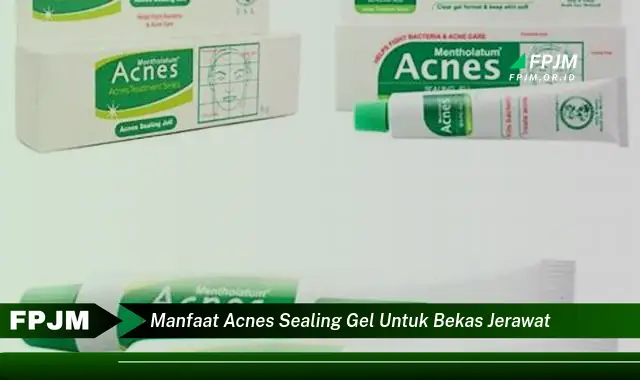 manfaat acnes sealing gel untuk bekas jerawat manfaat acnes sealing gel untuk bekas jerawat