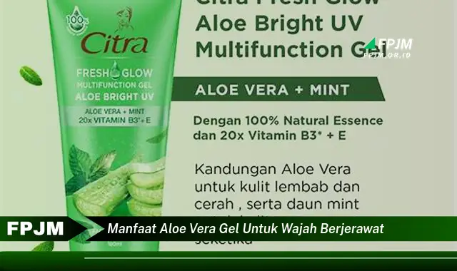 manfaat aloe vera gel untuk wajah berjerawat