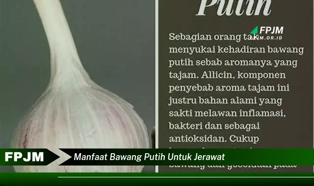 manfaat bawang putih untuk jerawat manfaat bawang putih untuk jerawat