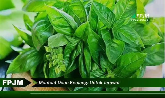manfaat daun kemangi untuk jerawat