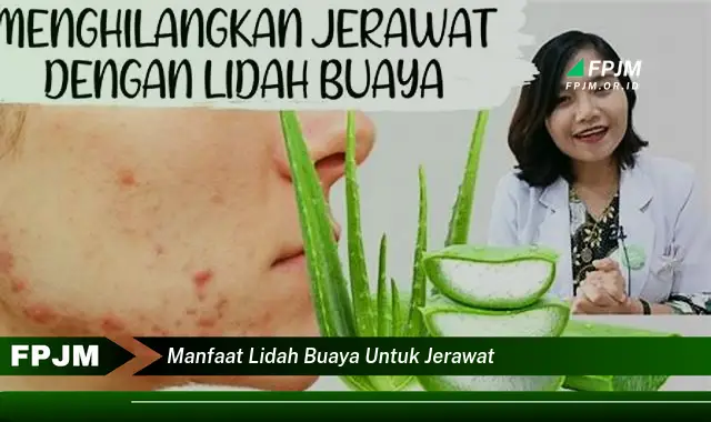 manfaat lidah buaya untuk jerawat