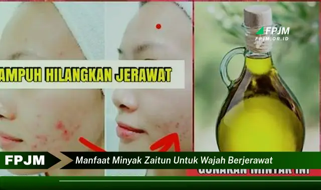 manfaat minyak zaitun untuk wajah berjerawat manfaat minyak zaitun untuk wajah berjerawat