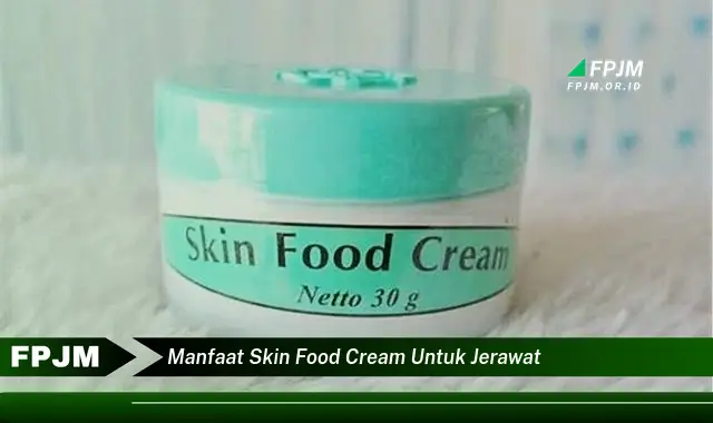 manfaat skin food cream untuk jerawat manfaat skin food cream untuk jerawat