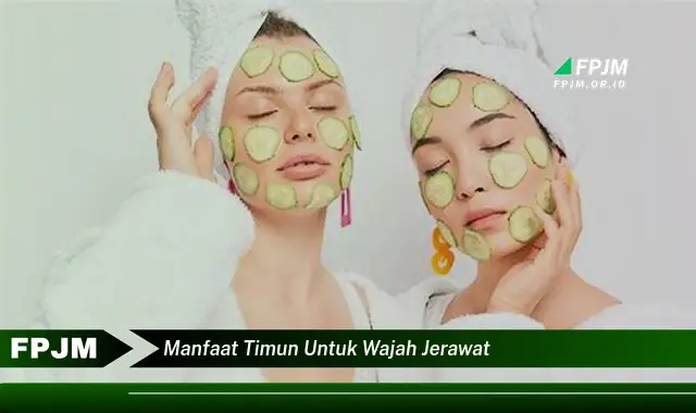 manfaat timun untuk wajah jerawat manfaat timun untuk wajah jerawat