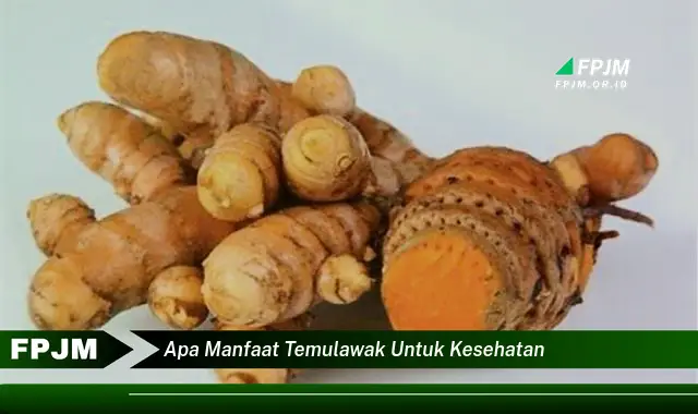 apa manfaat temulawak untuk kesehatan