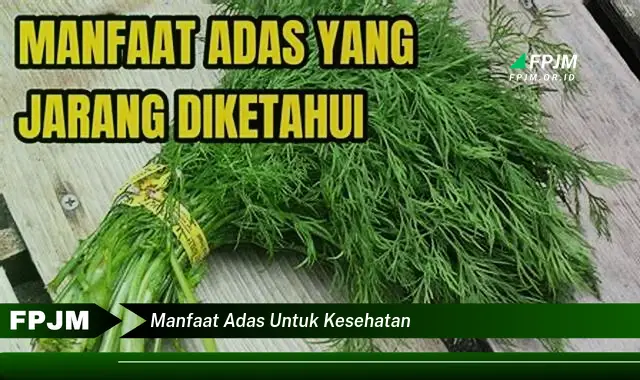 manfaat adas untuk kesehatan manfaat adas untuk kesehatan