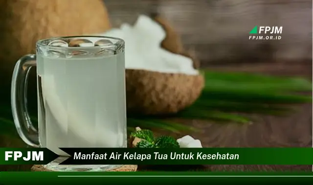 manfaat air kelapa tua untuk kesehatan