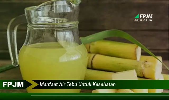 manfaat air tebu untuk kesehatan