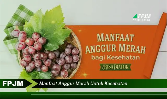 manfaat anggur merah untuk kesehatan manfaat anggur merah untuk kesehatan