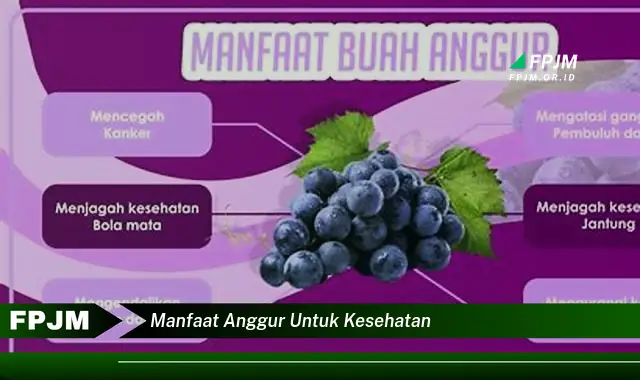 manfaat anggur untuk kesehatan