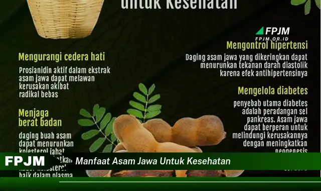 manfaat asam jawa untuk kesehatan manfaat asam jawa untuk kesehatan