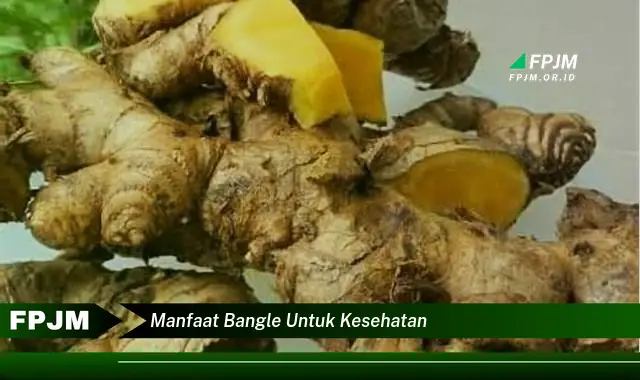 manfaat bangle untuk kesehatan