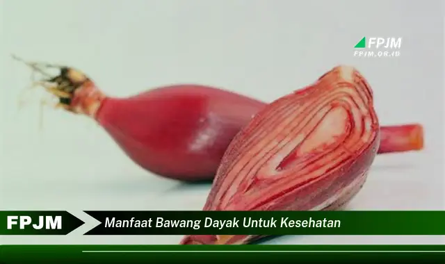 manfaat bawang dayak untuk kesehatan manfaat bawang dayak untuk kesehatan