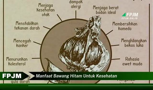 manfaat bawang hitam untuk kesehatan manfaat bawang hitam untuk kesehatan