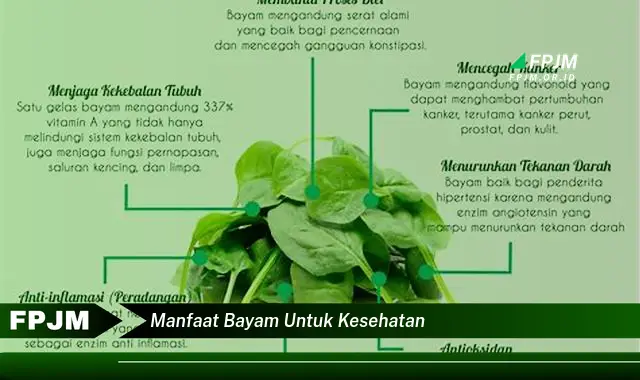 manfaat bayam untuk kesehatan