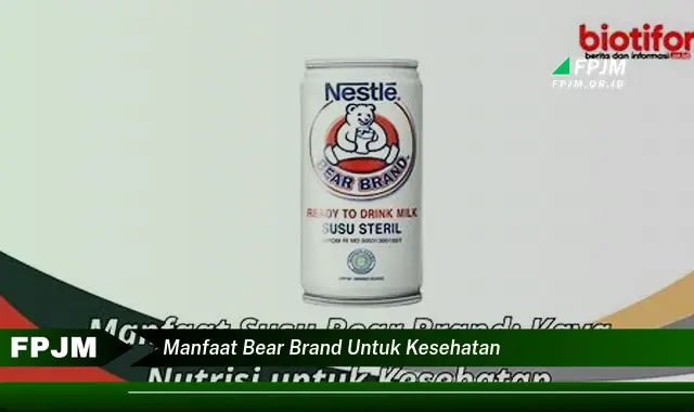 manfaat bear brand untuk kesehatan manfaat bear brand untuk kesehatan