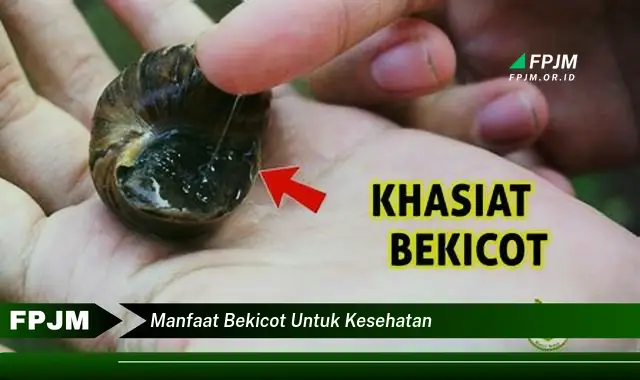 manfaat bekicot untuk kesehatan manfaat bekicot untuk kesehatan