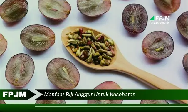manfaat biji anggur untuk kesehatan manfaat biji anggur untuk kesehatan