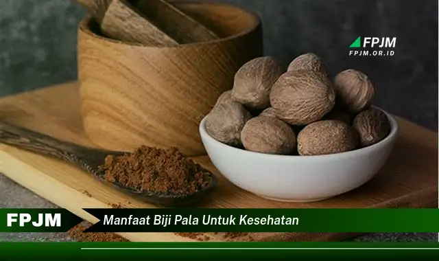 manfaat biji pala untuk kesehatan